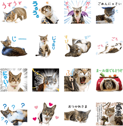 Azumaso Neko Okami - Kitten (420x448), Png Download