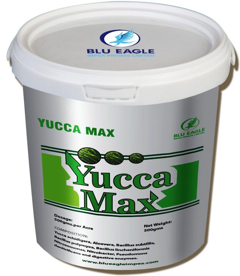 Prawns Products - Yucca Products (1016x1080), Png Download
