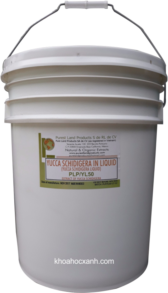 Yucca Schidigera Extract - Mojave Yucca (800x1200), Png Download