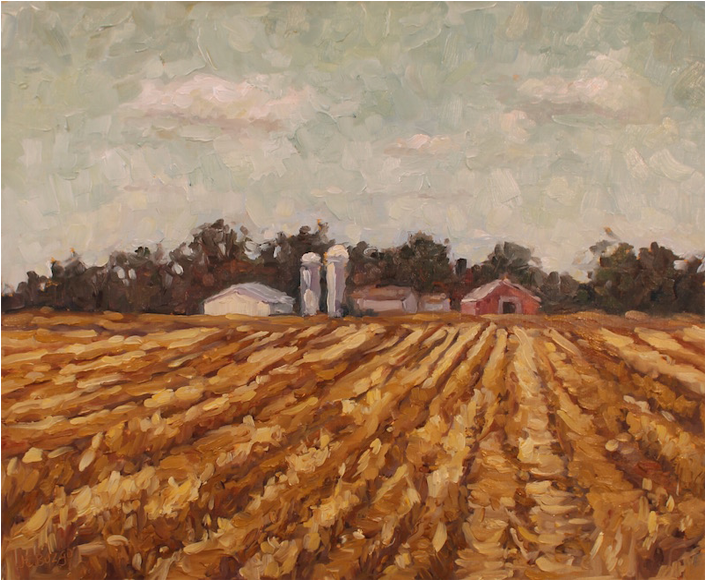 Wheat Field - Portable Network Graphics (800x800), Png Download