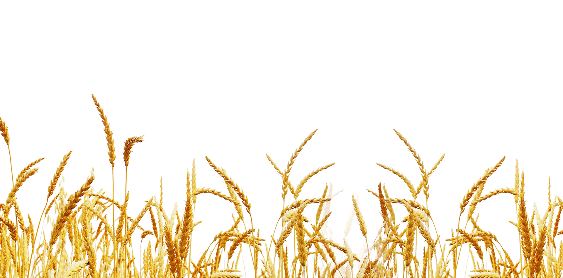 Farm Field Parrallax - Jozef Van Hans Van De Lagemaat Isbn: 9789463425131 (1920x950), Png Download