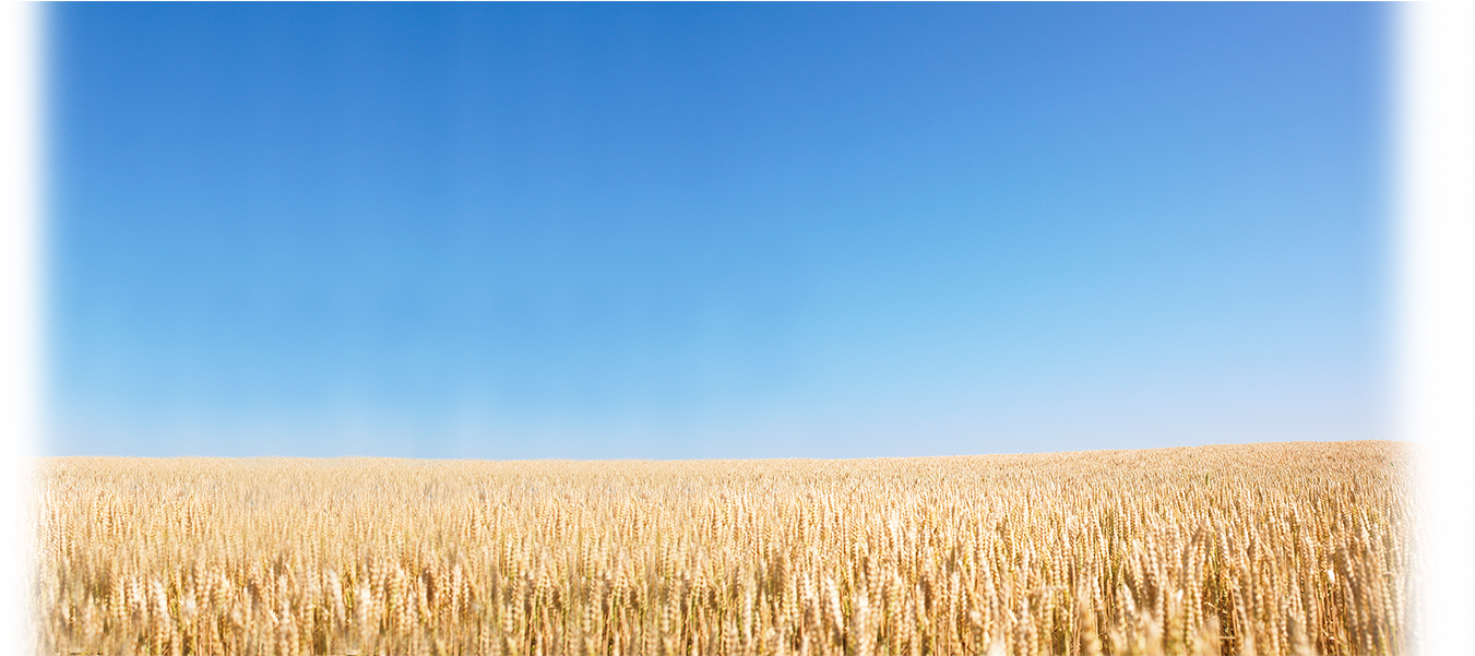 June 25, - Field (1375x600), Png Download