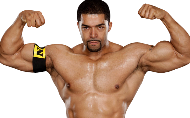 David Otunga Nexus Png (624x388), Png Download