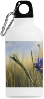 Cornflower Bluebottle Wheat Field Summer Cazorla Sports - Interestprint Reasons To Be A Unicorn Quotes 13.5oz (500x500), Png Download