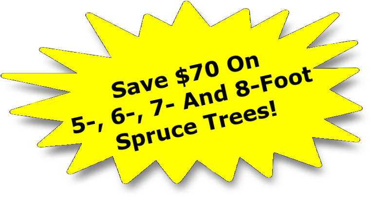 Starburst-coupon - Illustration (770x422), Png Download