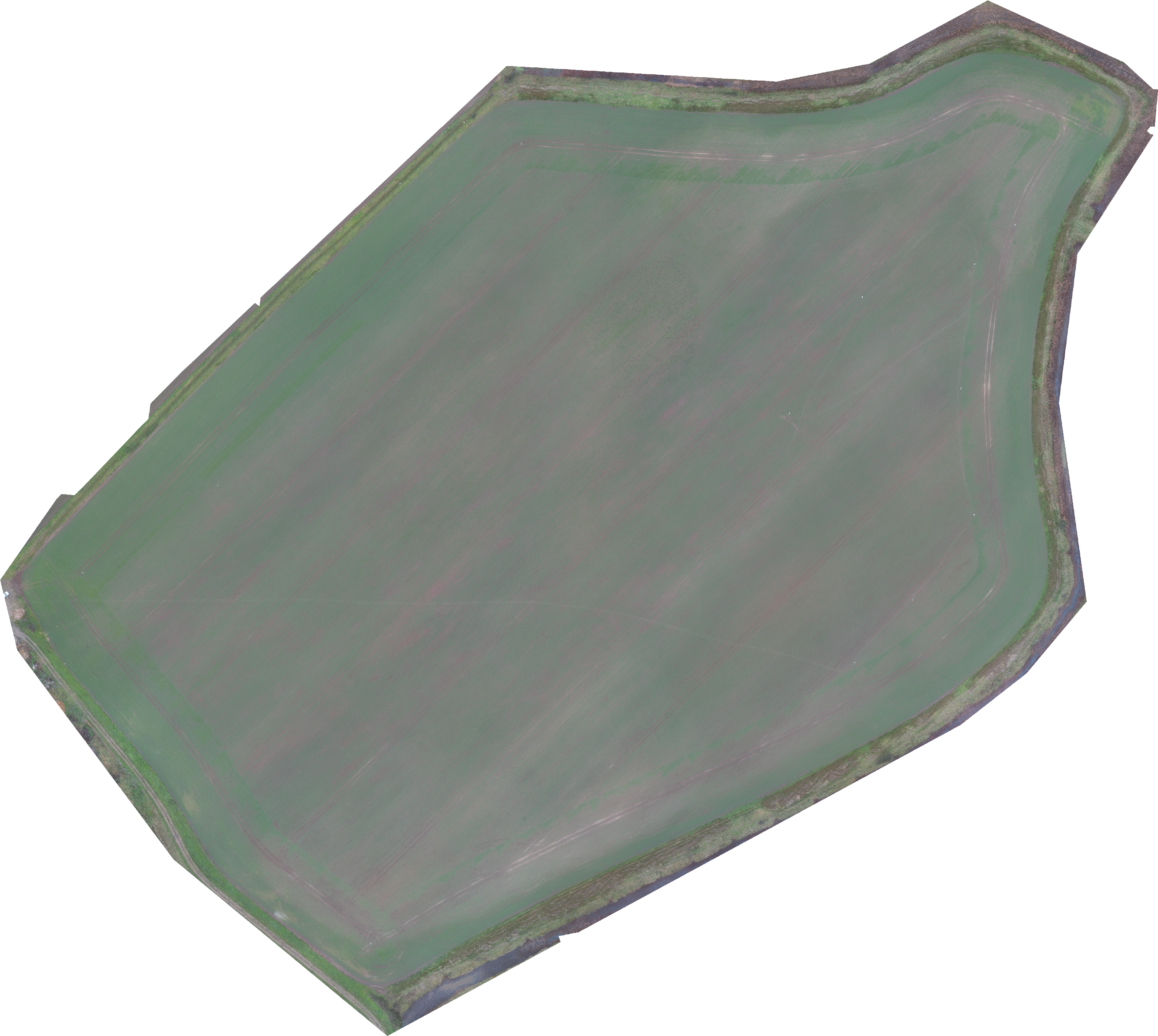 Winter Wheat Field Study December 14, (5490x5075), Png Download