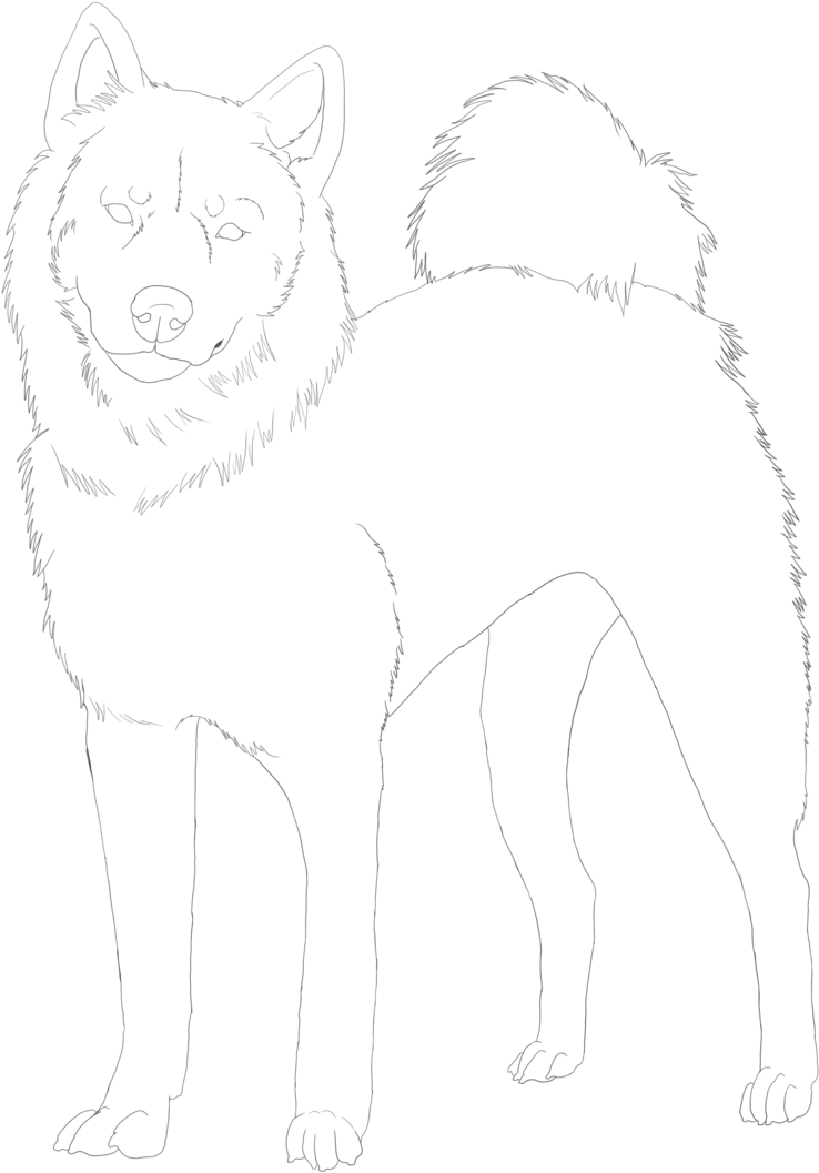Shiba Inu Line Art By Doggiedoodles-d4u9nzo - Line Art (900x1141), Png Download