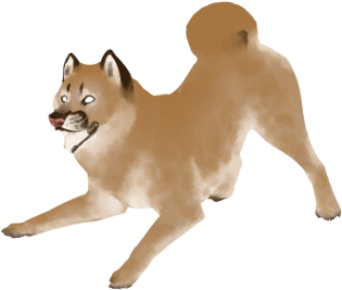 Cougardye - Shiba Inu (475x538), Png Download