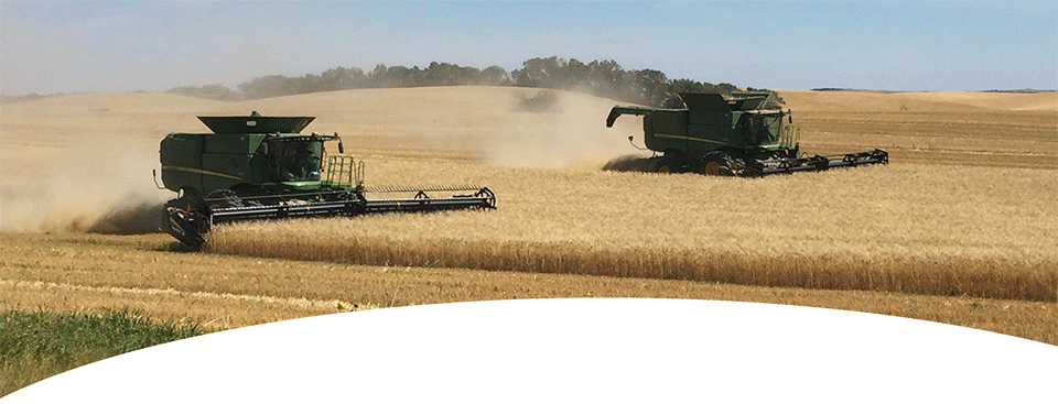Field (960x367), Png Download