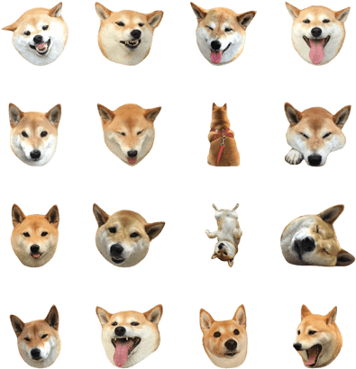 Buddy Love Life - Shiba Inu (420x448), Png Download