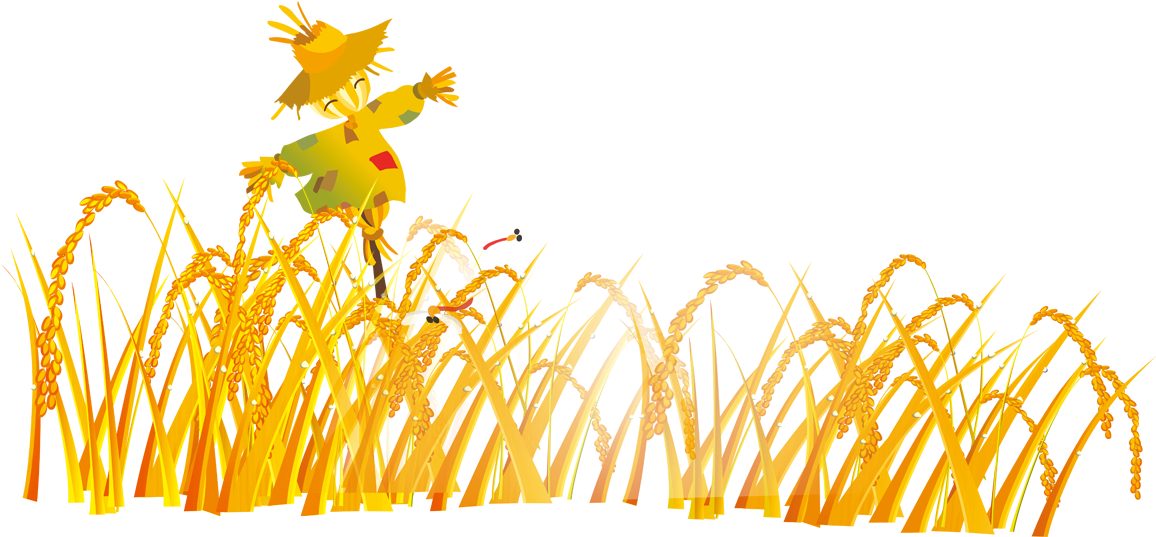 Graphic Design Cartoon Scarecrow - Scarecrow In Field Png (1181x1181), Png Download