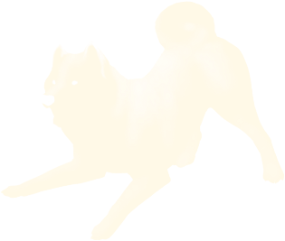 Powder - Companion Dog (475x538), Png Download