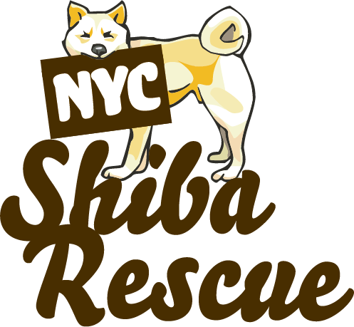 Nyc Shiba Rescue - New York City (497x459), Png Download