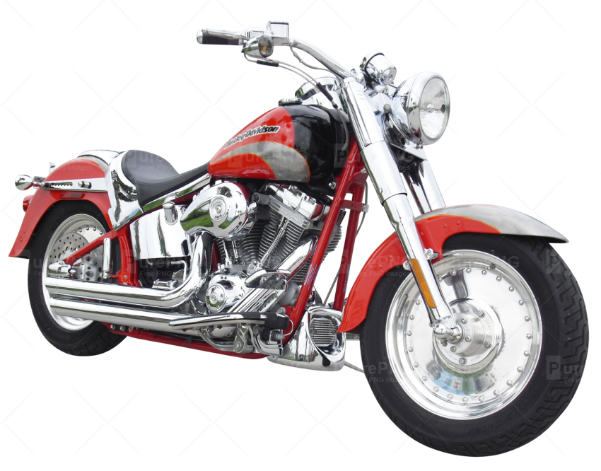 Biker Dog Clipart - Harley Davidson Screaming Eagle (850x666), Png Download