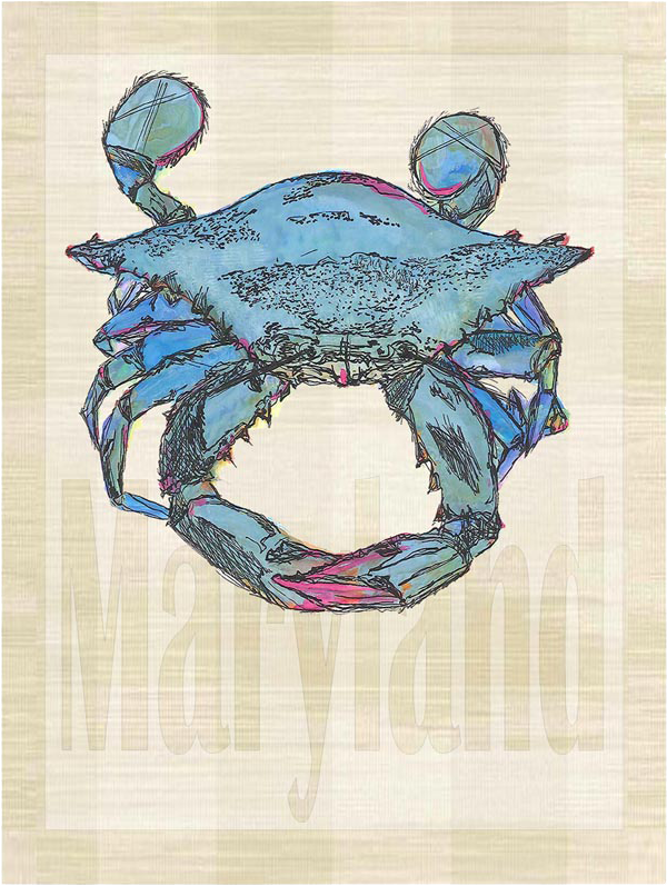 Illustration (800x800), Png Download
