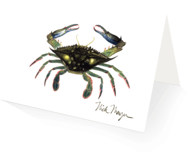 Nick Mayer Note Card - Chesapeake Blue Crab (480x387), Png Download