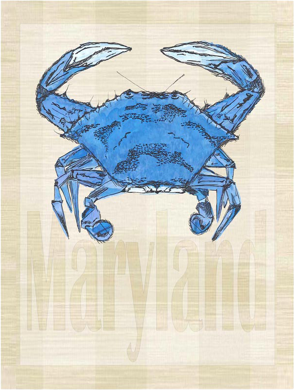 Maryland (800x800), Png Download