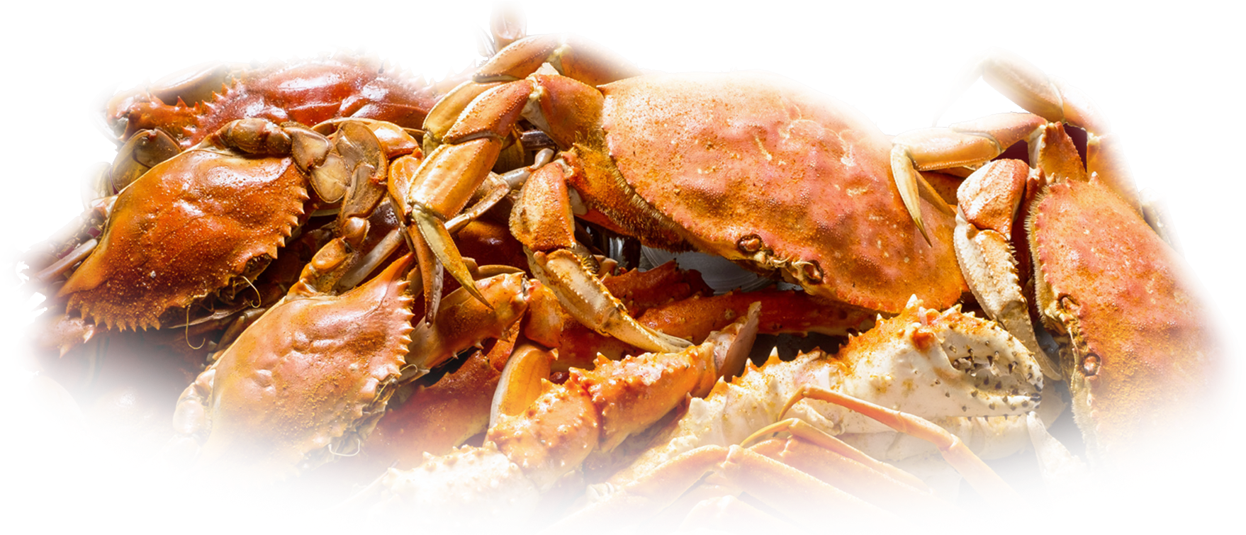 Picture Transparent Full Menu Chickie S Pete Blue Claw - Cooked Blue Claw Crab Transparent (1800x754), Png Download