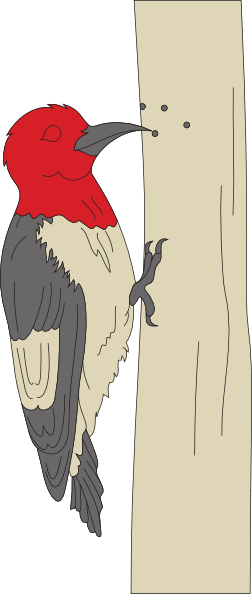 Pecking Woodpecker Clip Art - Woodpecker Clip Art (252x594), Png Download