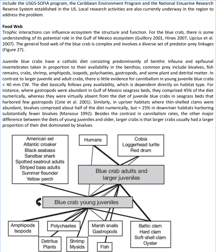 Food Web Of The Blue Crab, Illustrating Only Those - Crab (850x993), Png Download