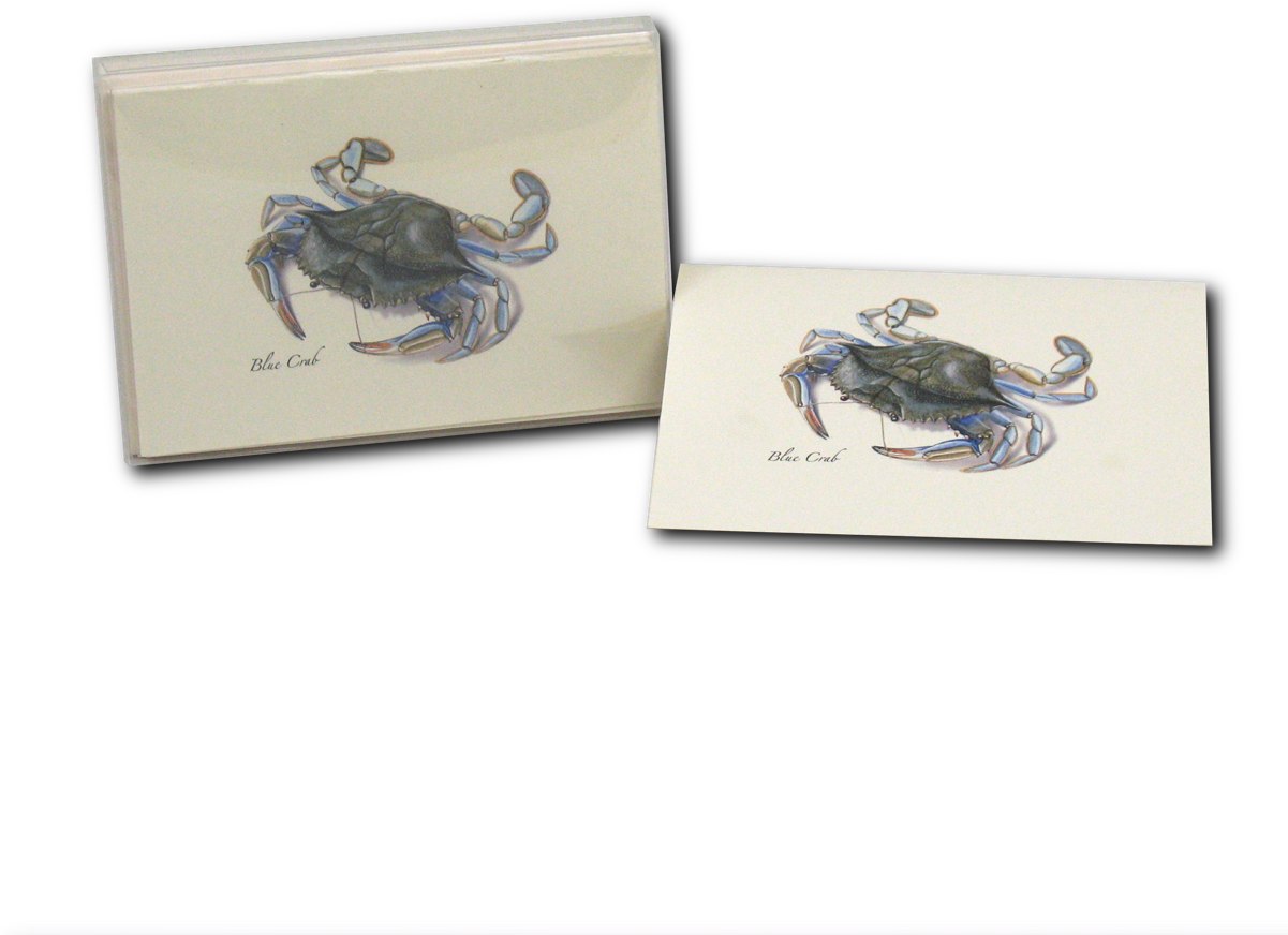 Shopping Cart -  -  - Illustration (1200x1200), Png Download