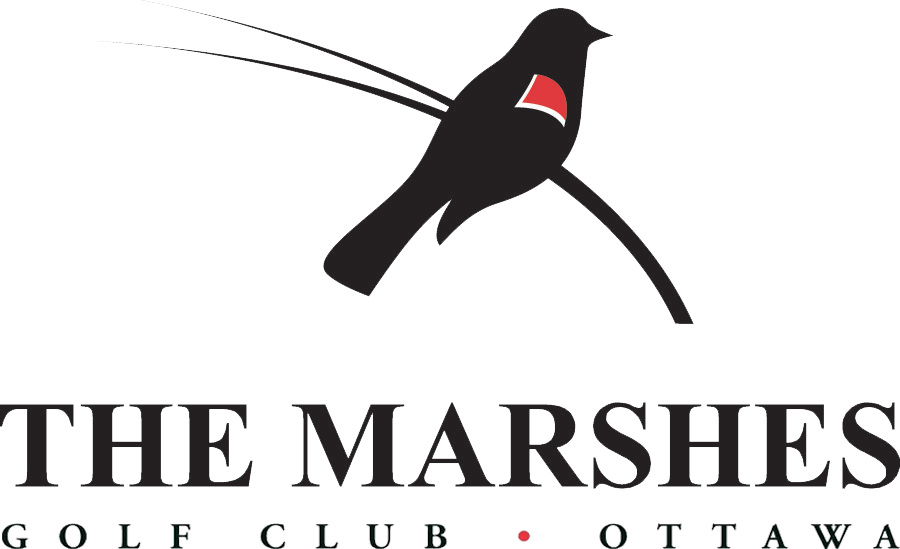 Marshes Logo Brookstreet Logo Blackhr - Town Hall (900x549), Png Download