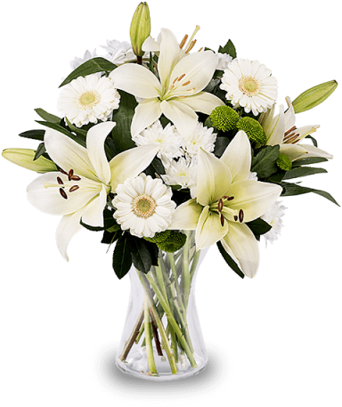 White Lilies And Gerberas - Vazoda Çiçek (480x480), Png Download