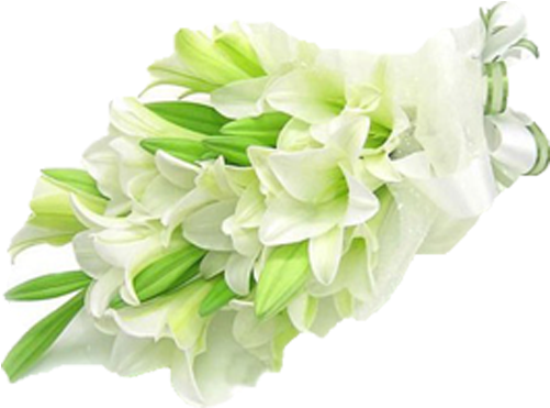 White Lily Roses Flower Delivery Candy Petal - Death Love Anniversary Quotes (500x500), Png Download