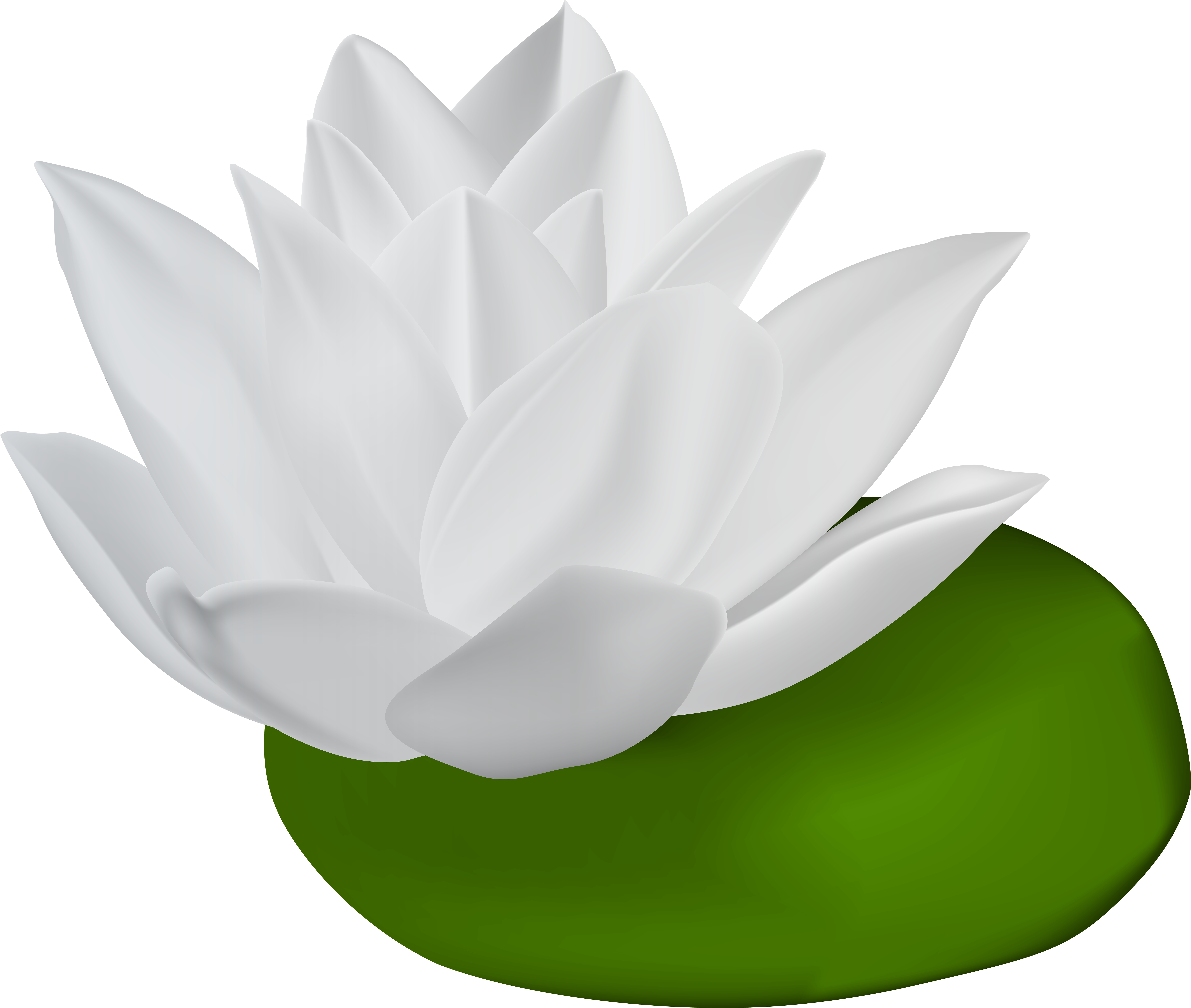 Go To Image (8000x6774), Png Download