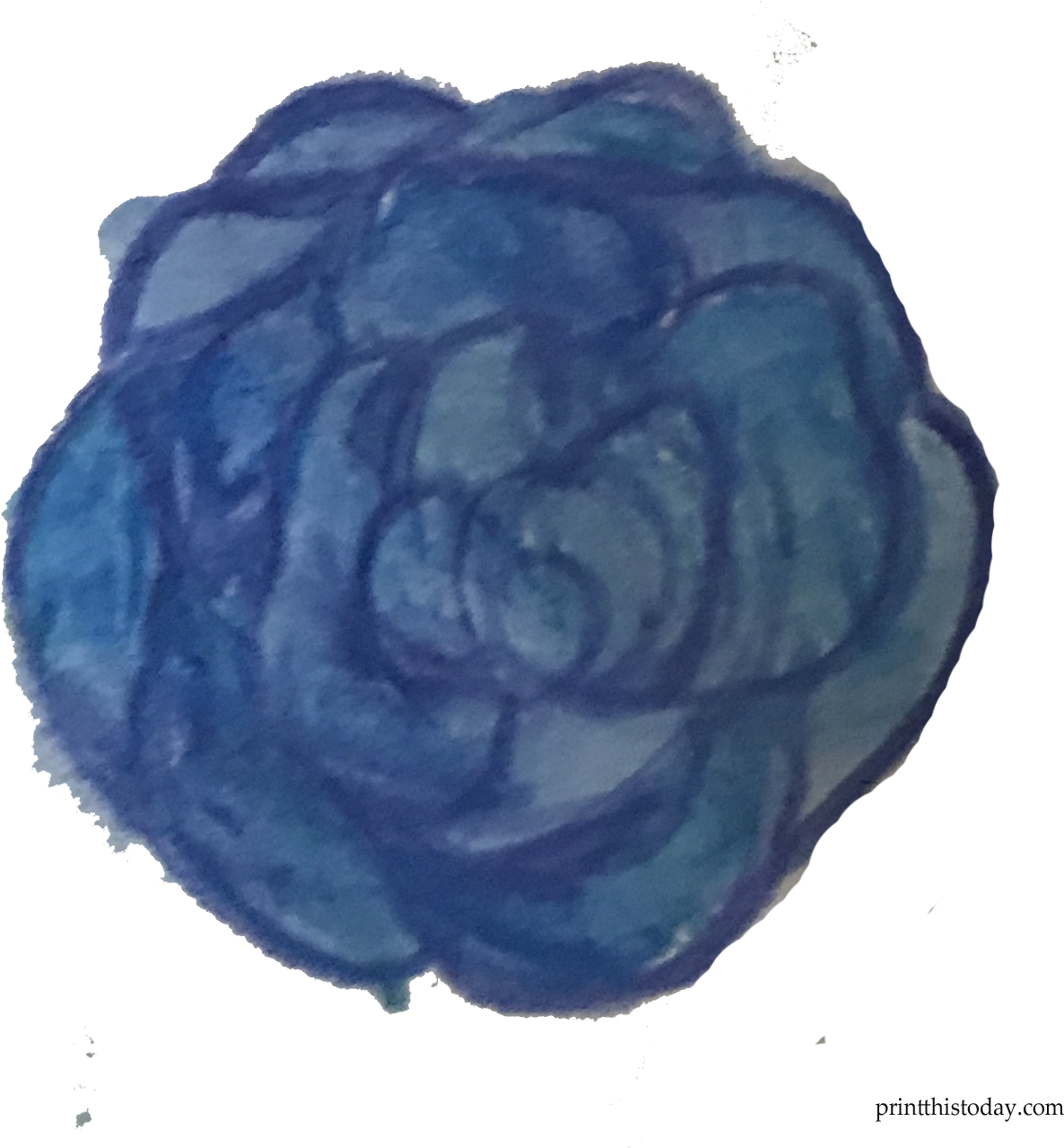 Blue Water Color Rose - Garden Roses (1367x1340), Png Download