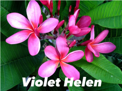 Helen (420x546), Png Download