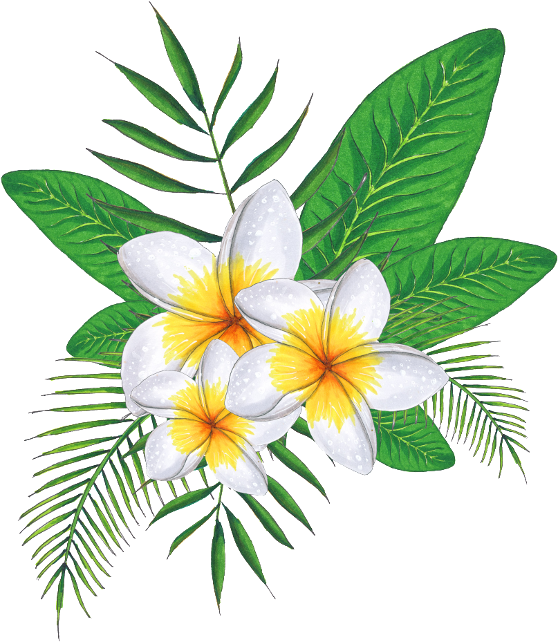 Este Gráficos Es Pintado A Mano De Flores De Tres Huevos - Rosa Glauca (1024x1024), Png Download