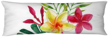 Dessin Fleurs Plumeria (400x400), Png Download