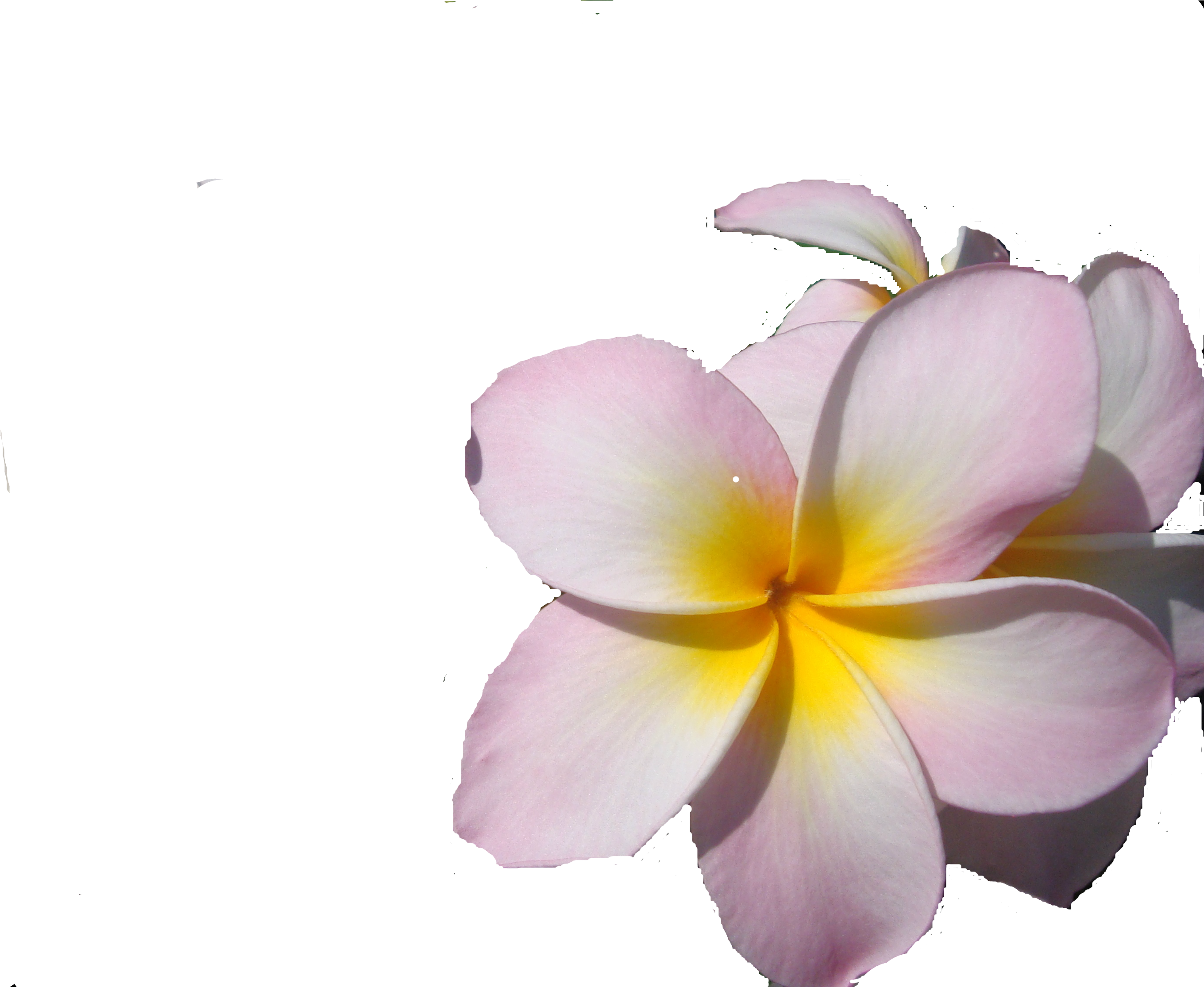 Go To Image - It's Time To Get Selfish: A Journey Inside Of Self...a (2892x2230), Png Download