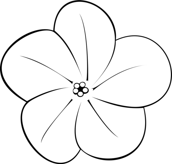 Plumeria Flower Clipart - Black And White Plumeria Flower (600x572), Png Download