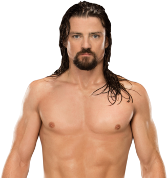 Wwe 2k17/roster - Wwe Daniel Bryan Render (500x354), Png Download