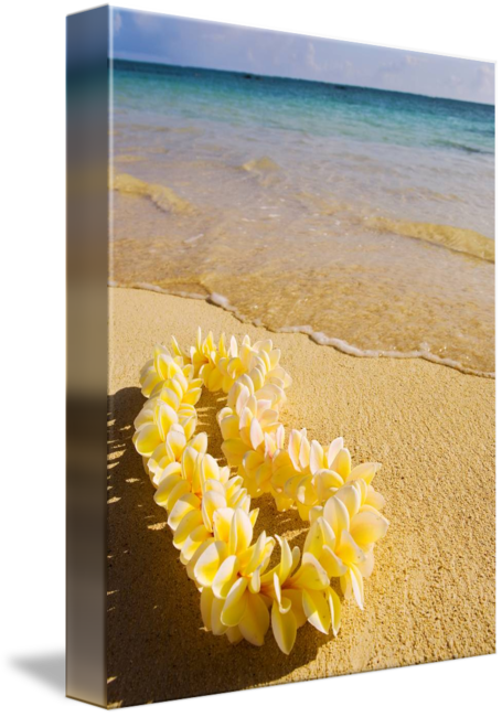 On The Seashore By Tomas Del Amo - Hiv マリコの場合 [book] (455x650), Png Download