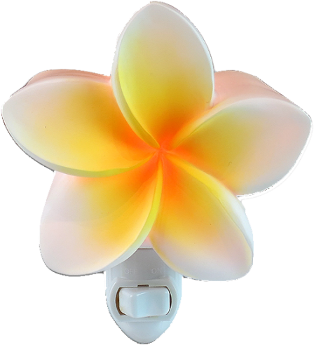 Kc Hawaii Yellow Plumeria Night Light 5.25" X 3.25" (500x500), Png Download