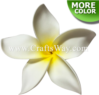 Plumeria Type Ou - Frangipani (350x350), Png Download