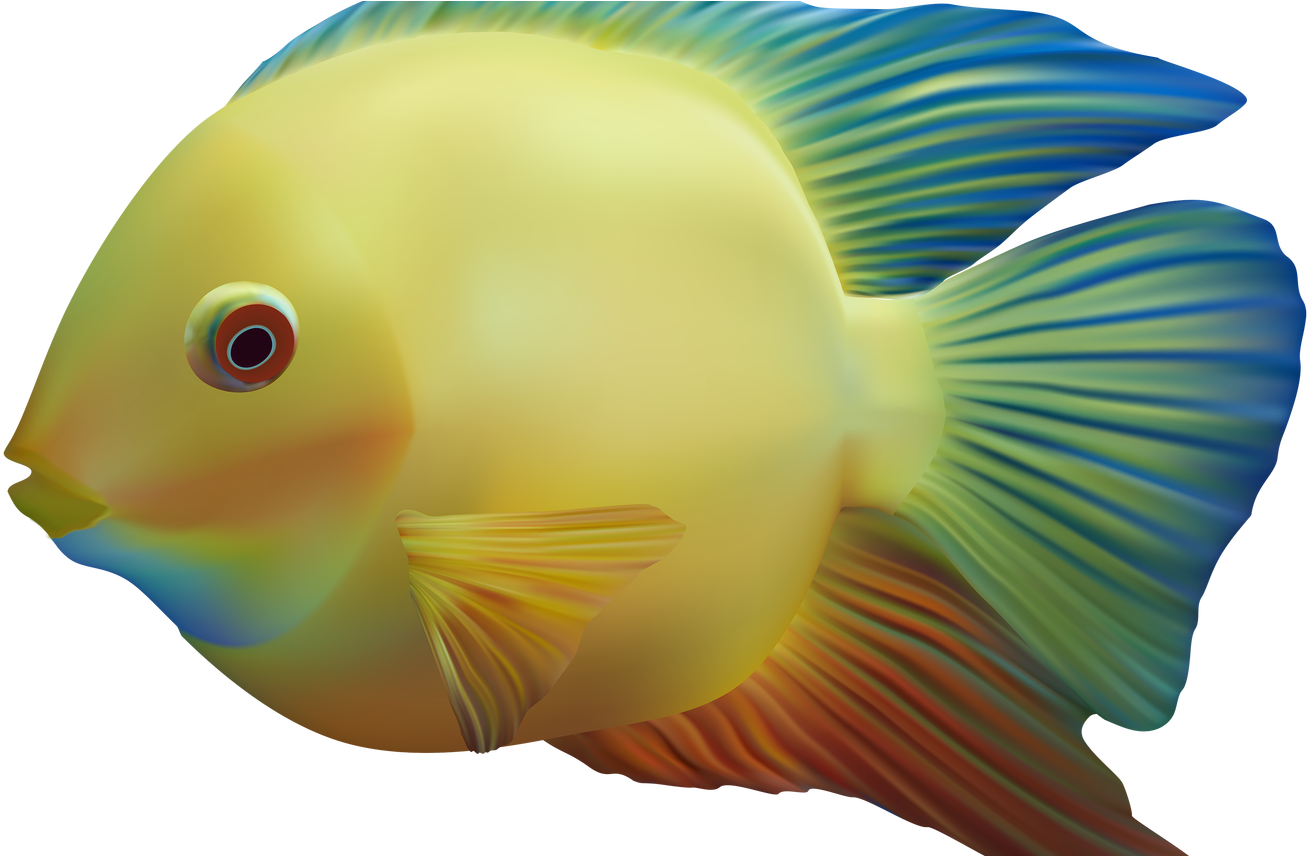 Exotic Fish Png Clipart Best Web Clipart - Fish (1368x855), Png Download