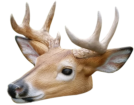 Elk (498x398), Png Download