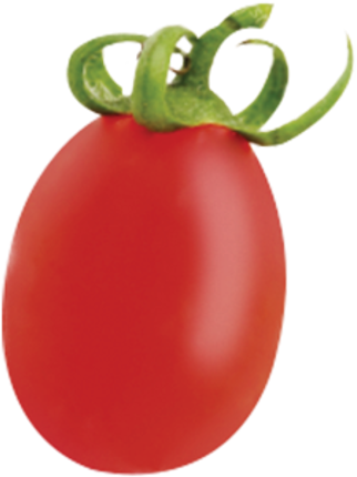 Plum Tomato (500x500), Png Download