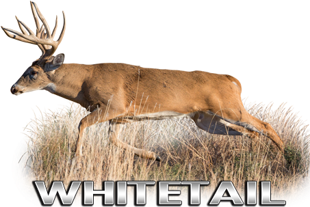 Kansas (475x356), Png Download