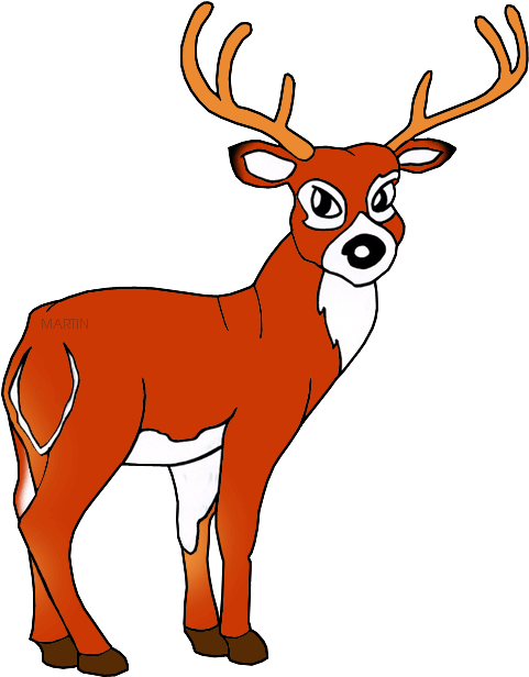 White Tailed Deer - Red Deer Clipart (540x648), Png Download