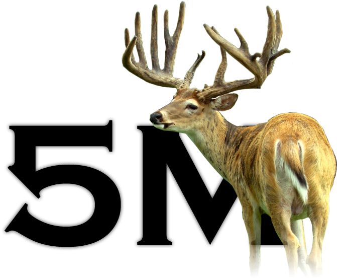 5m Deer For Sale3 - Deer (717x593), Png Download