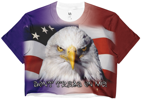 Usa American Flag Eagle Cool 24x18 Print Poster (498x498), Png Download