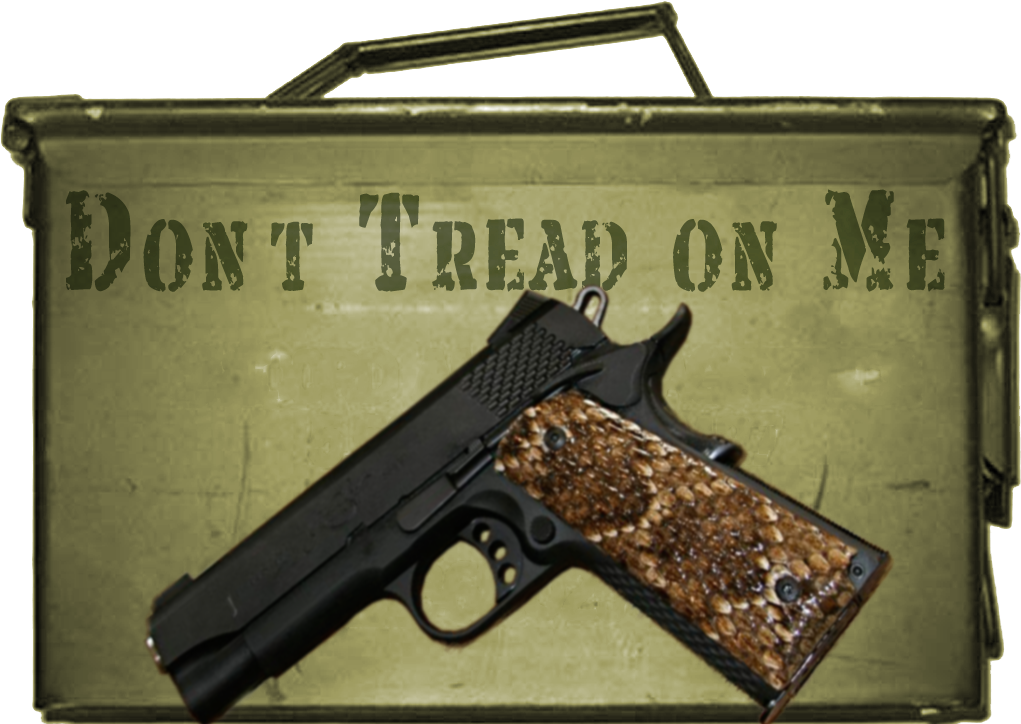 This Experimental - Gadsden Flag (1024x768), Png Download