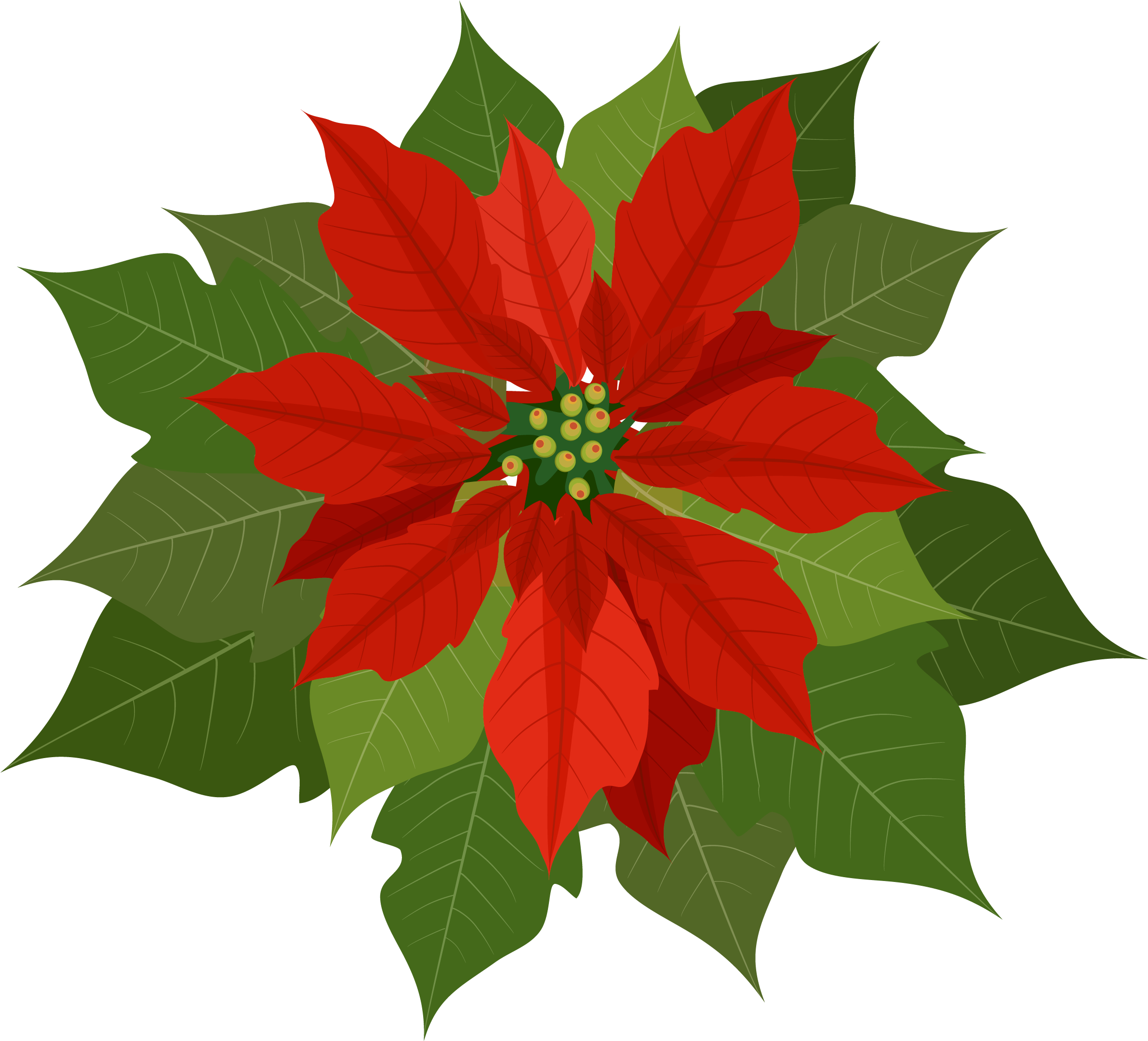 Free Poinsettia Clipart - Poinsettia Clipart Png (2469x2248), Png Download