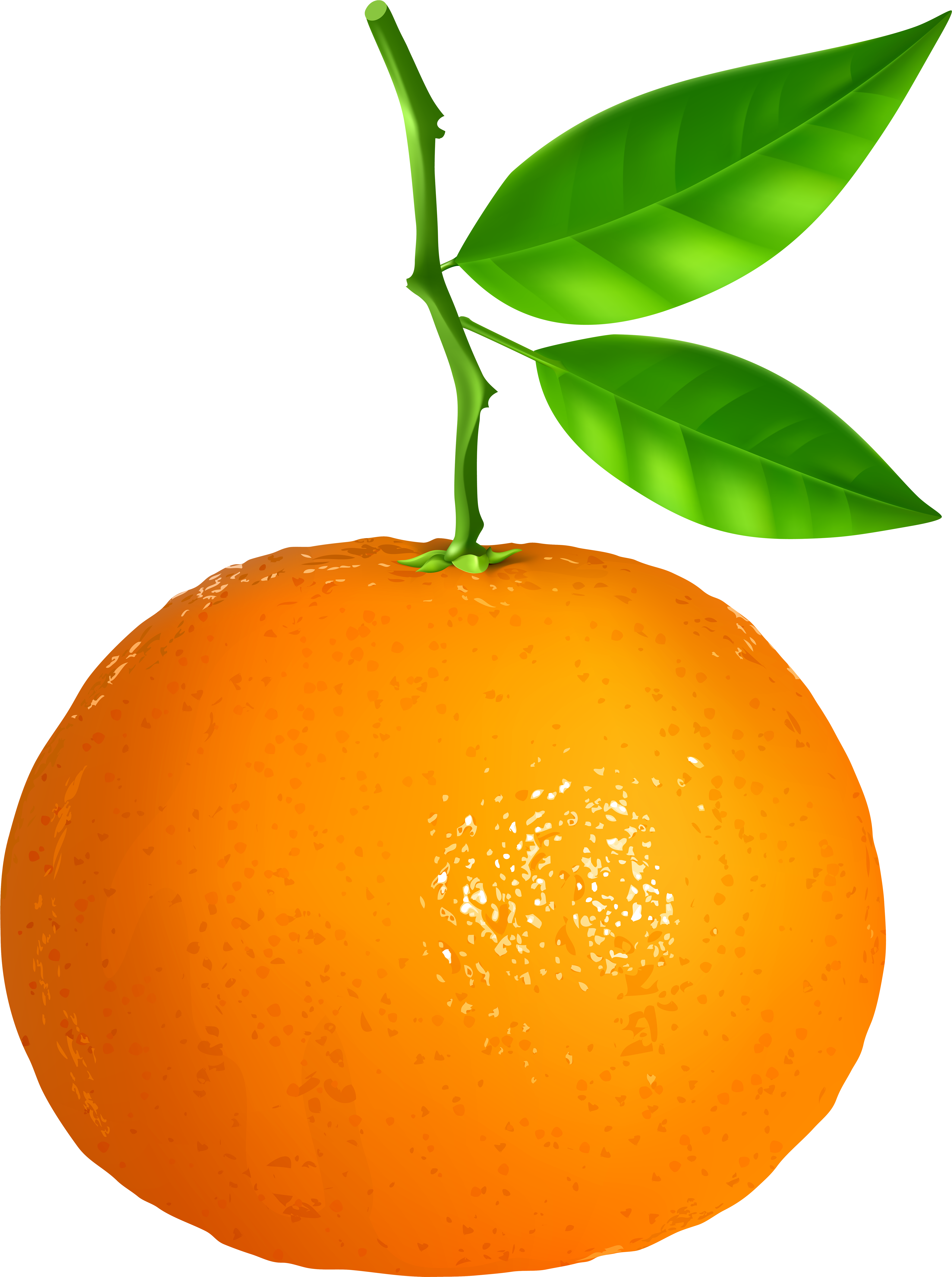 Tangerine Transparent Png Clip Art Image Gallery (5258x7000), Png Download
