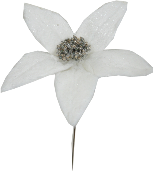 White Glitter Poinsettia Pick - Poinsettia (553x600), Png Download